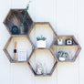 Geometric & Lunar Shelf Workshop Saturday June 22nd @11am
