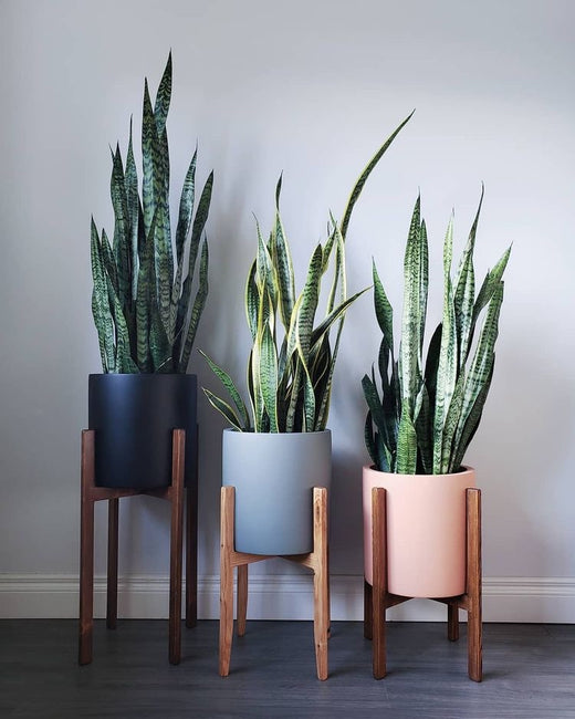 CLASS FULL Contemporary Plant Stand Set Workshop Friday September 13th @5:30pm