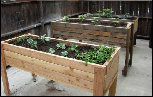 CLASS FULL Raised Bed Planter Workshop Sunday May 26th @11am