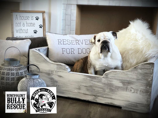 Pet Bed Workshop - Private BBR Fundraiser - Sunday, April 15, 2018 @ 11am