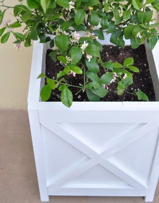 CLASS FULL Criss Cross Planter Boxes Saturday September 14th , 2019 @11am Kawartha Lakes