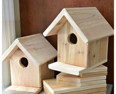 Build Like A Kid Bird House Workshop Saturday April 20th @11am