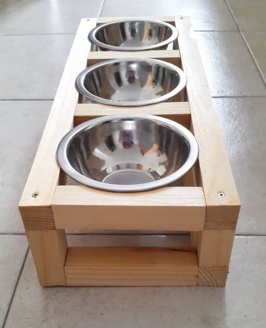 Pet Feeding Stand Workshop Kit