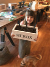 Build like a kid herb box - Saturday May 4th @11am